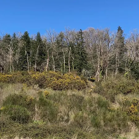 La Petite Mazure - Refuge Nature En Foret Prázdninový dům