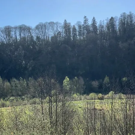 La Petite Mazure - Refuge Nature En Foret Prázdninový dům *