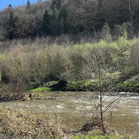 La Petite Mazure - Refuge Nature En Foret Isigny-le-Buat