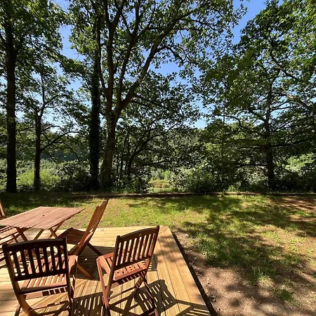 La Petite Mazure - Refuge Nature En Foret Ferienhaus *
