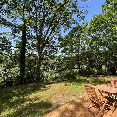 La Petite Mazure - Refuge Nature En Foret Ferienhaus *