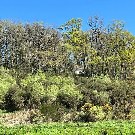 La Petite Mazure - Refuge Nature En Foret *