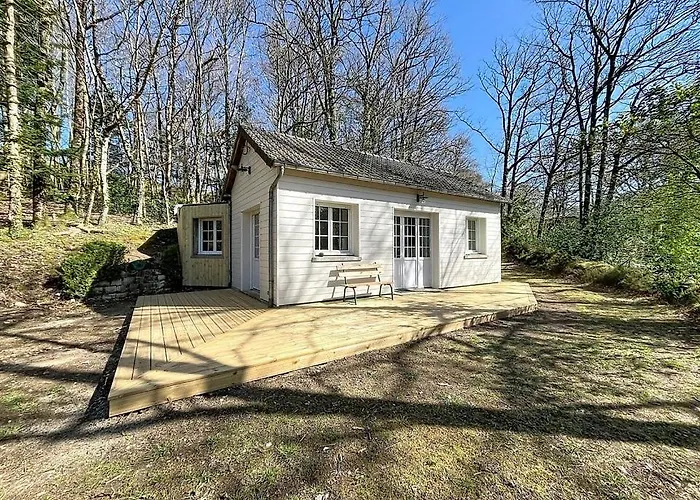 Hébergement de vacances La Petite Mazure - Refuge Nature En Forêt
