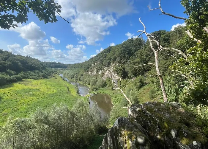 La Petite Mazure - Refuge Nature En Forêt Hébergement de vacances *