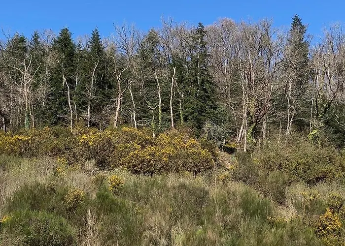 La Petite Mazure - Refuge Nature En Forêt Hébergement de vacances