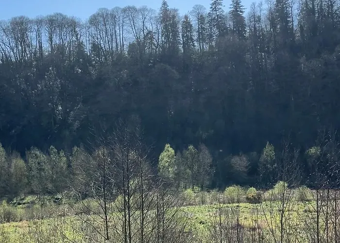 La Petite Mazure - Refuge Nature En Forêt Hébergement de vacances *
