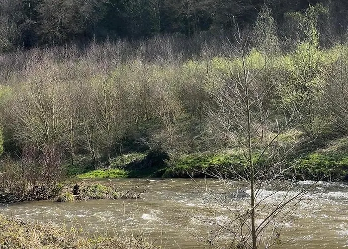 La Petite Mazure - Refuge Nature En Forêt Isigny-le-Buat