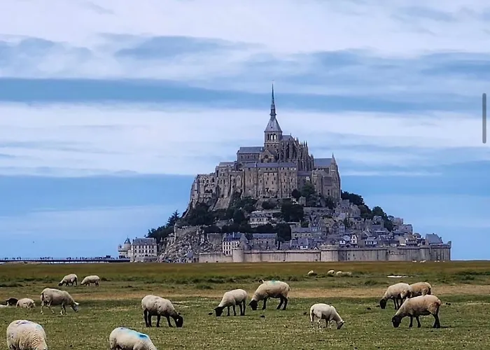 Hébergement de vacances La Petite Mazure - Refuge Nature En Forêt *